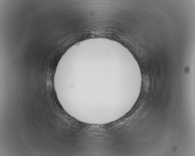 X0000116370770201001131747