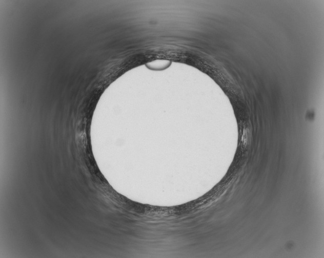 X0000116370771201001131747