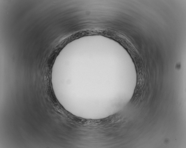 X0000116370773201001131747