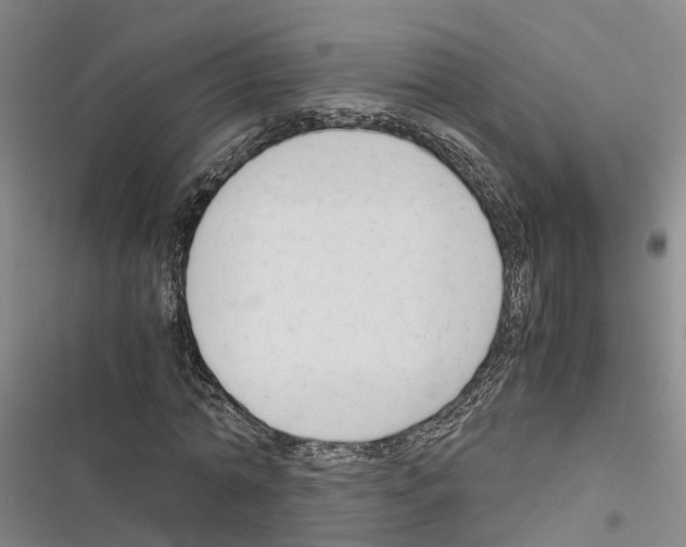 X0000116370774201001131747