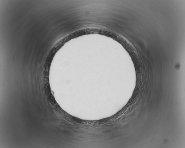 X0000116370775201001131747