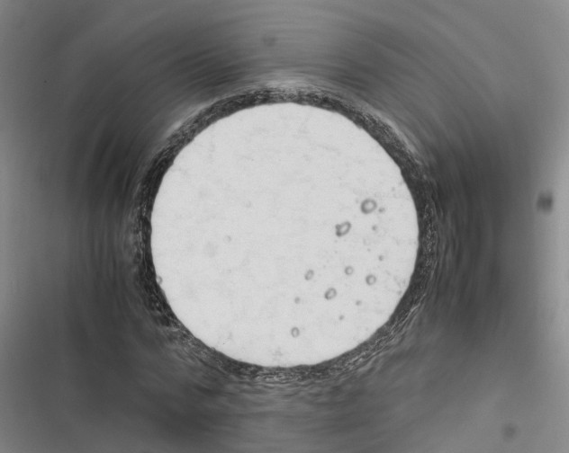 X0000116370776201001131747