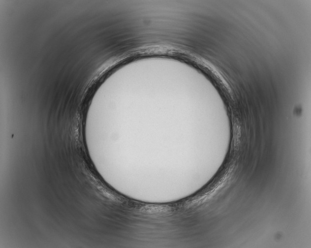 X0000116370778201001131747