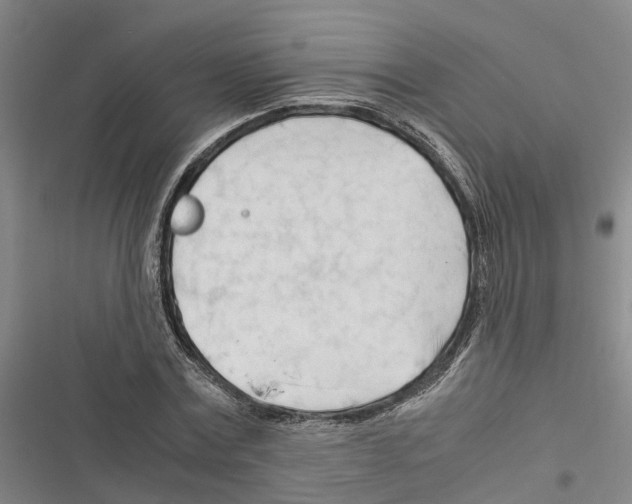 X0000116370779201001131746