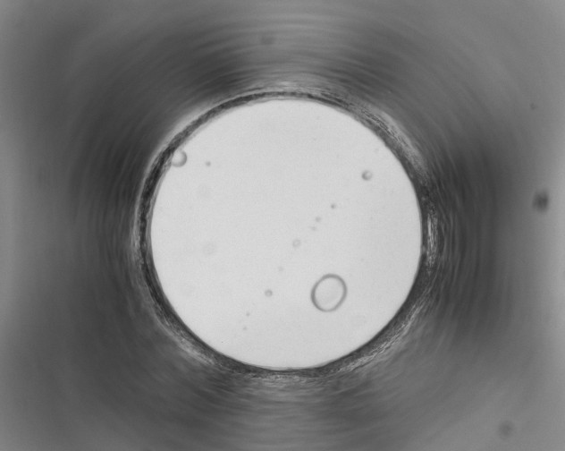 X0000116370780201001131746