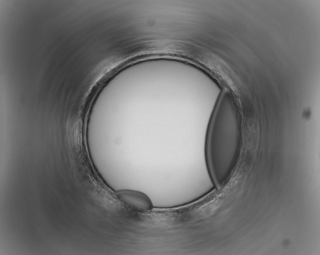 X0000116370781201001131746