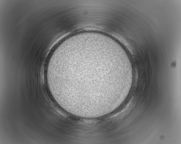 X0000116370782201001131746