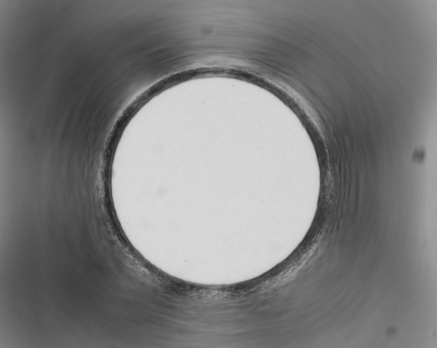 X0000116370783201001131746