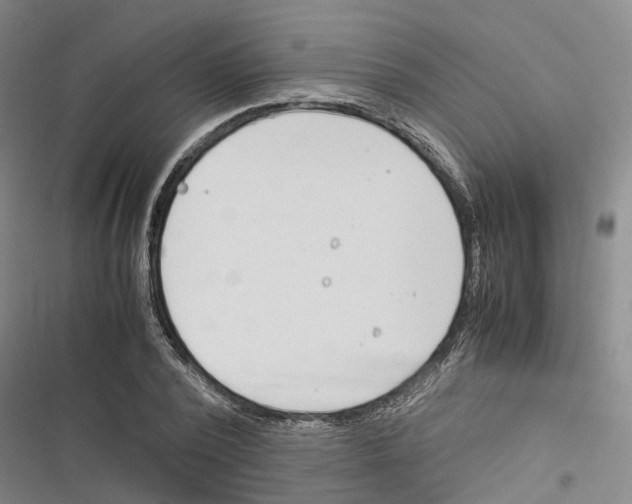 X0000116370784201001131746