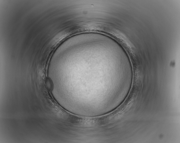 X0000116370785201001131746