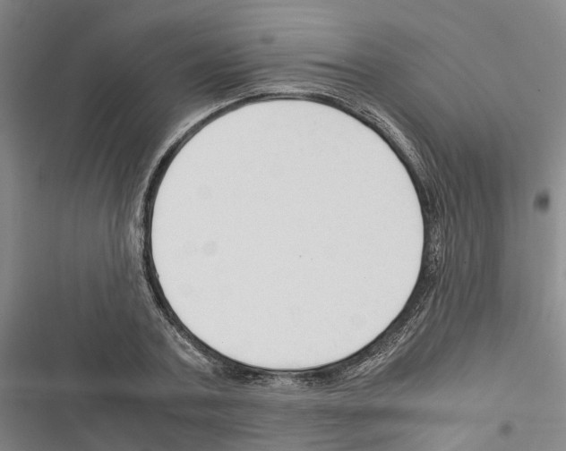 X0000116370787201001131746