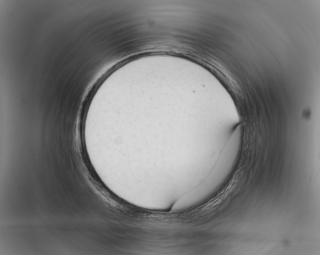 X0000116370788201001131746