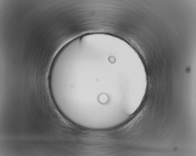 X0000116370789201001131746