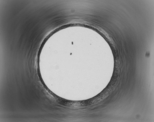 X0000116370791201001131746