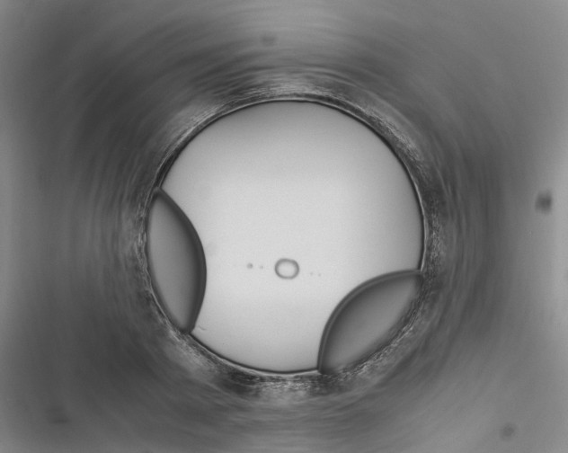 X0000116370793201001131746