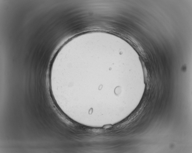 X0000116370796201001131746