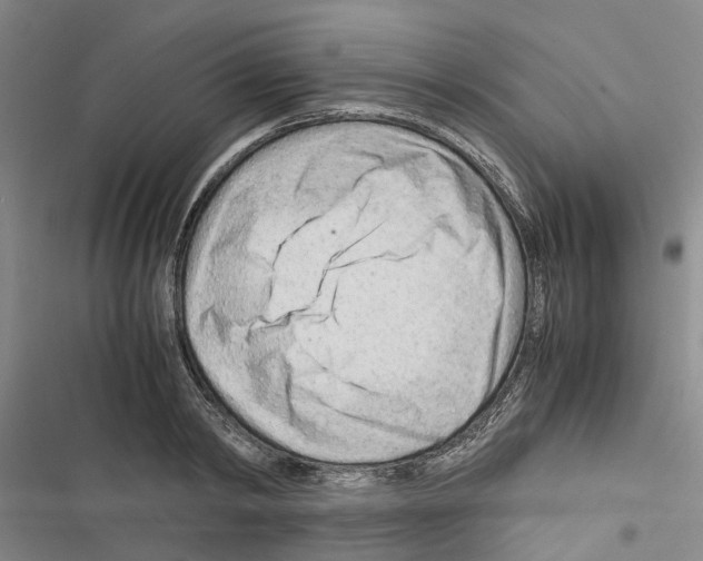 X0000116370798201001131746