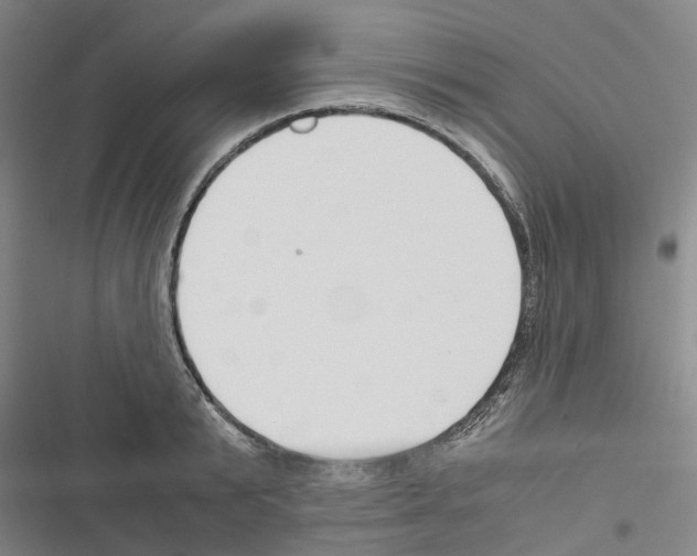 X0000116370799201001131746