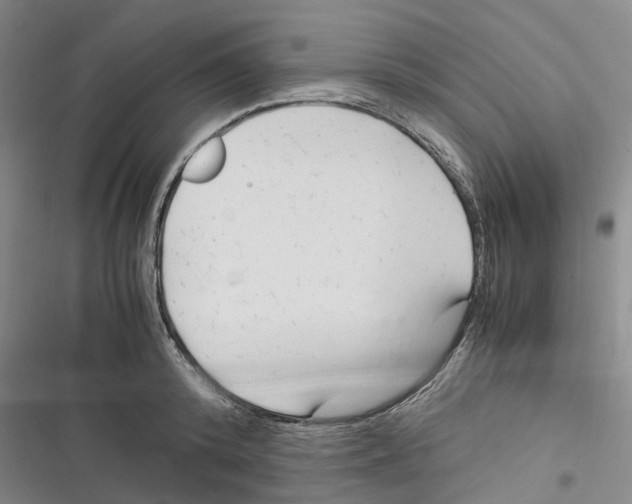 X0000116370800201001131746