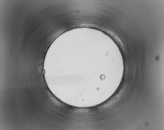 X0000116370801201001131746