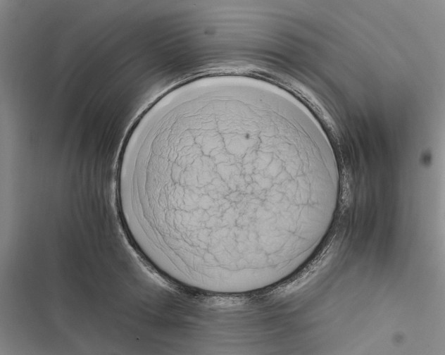 X0000116370802201001131746