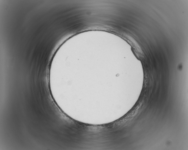 X0000116370804201001131746