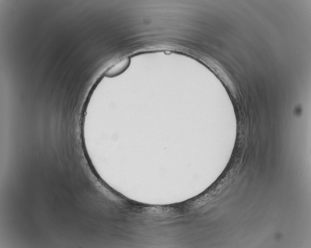 X0000116370805201001131746