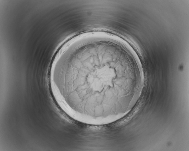 X0000116370806201001131746