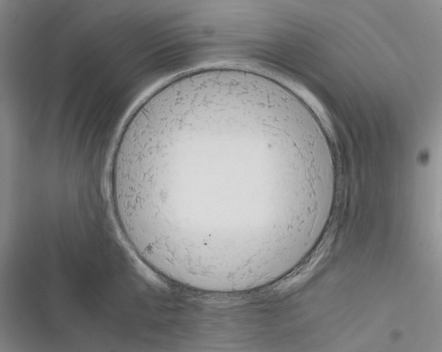 X0000116370807201001131746