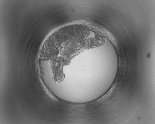 X0000116370808201001131746