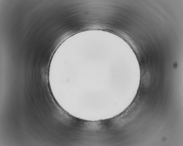 X0000116370810201001131746