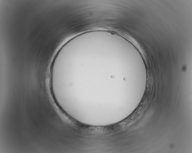 X0000116370811201001131746