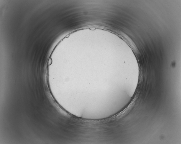 X0000116370812201001131746