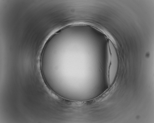 X0000116370813201001131746