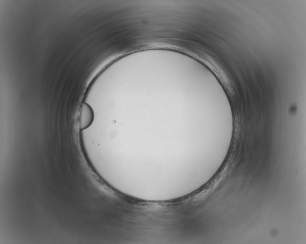 X0000116370814201001131746