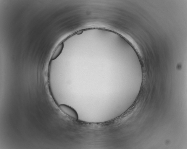 X0000116370815201001131746