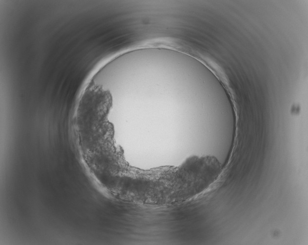 X0000116370816201001131746