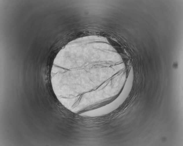 X0000116370818201001131745