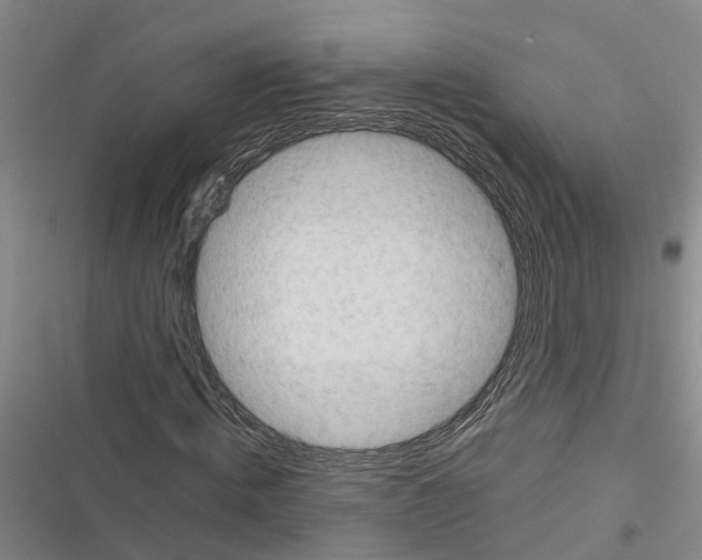 X0000116370820201001131745