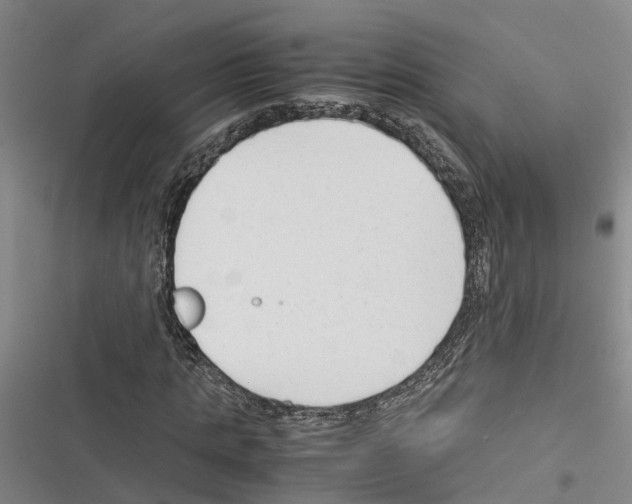 X0000116370821201001131745