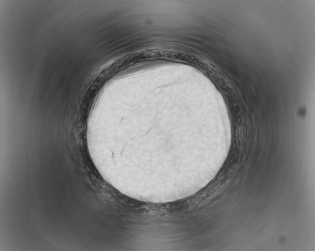 X0000116370822201001131745