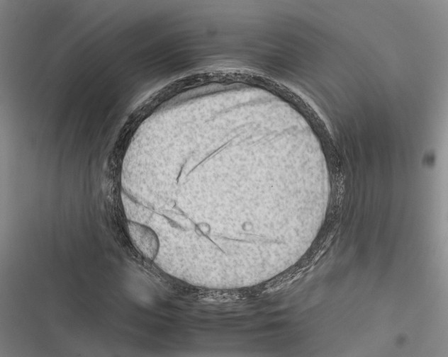 X0000116370823201001131745