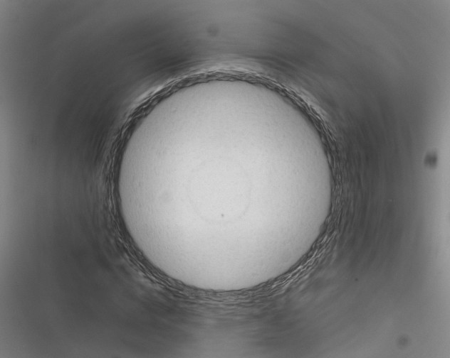 X0000116370824201001131745