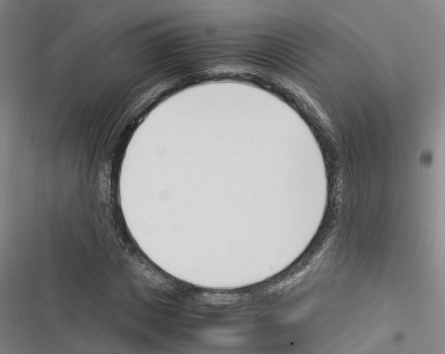 X0000116370825201001131745