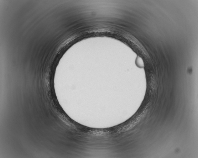 X0000116370826201001131745