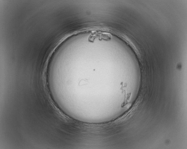 X0000116370828201001131745