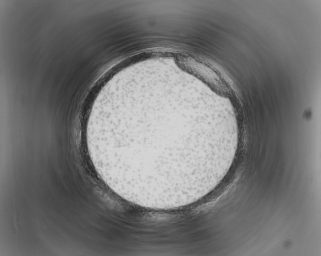 X0000116370829201001131746