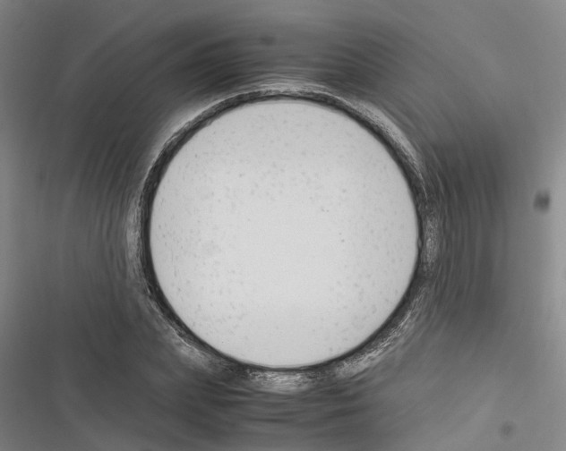 X0000116370831201001131746