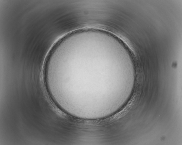 X0000116370832201001131746