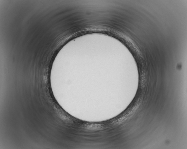 X0000116370833201001131746